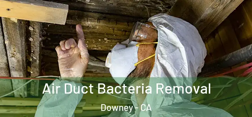 Air Duct Bacteria Removal Downey - CA