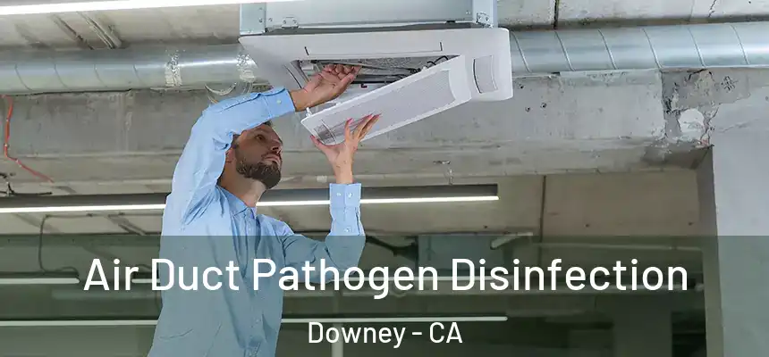 Air Duct Pathogen Disinfection Downey - CA
