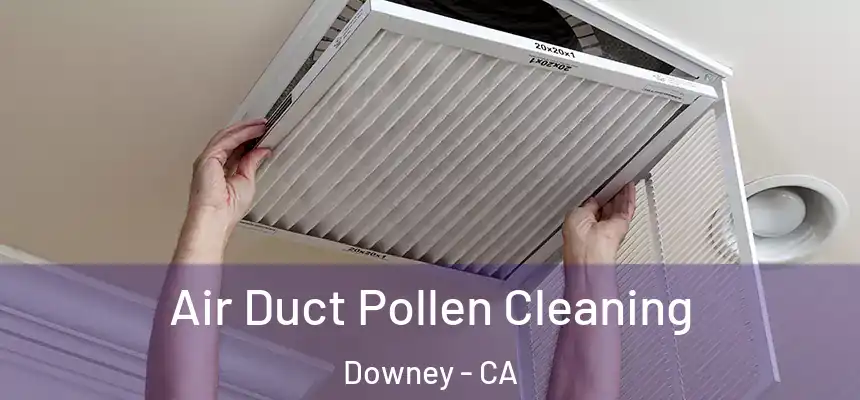 Air Duct Pollen Cleaning Downey - CA
