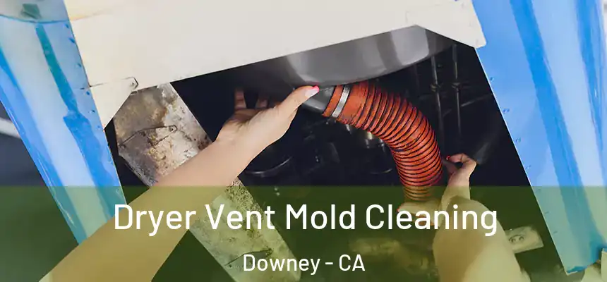 Dryer Vent Mold Cleaning Downey - CA