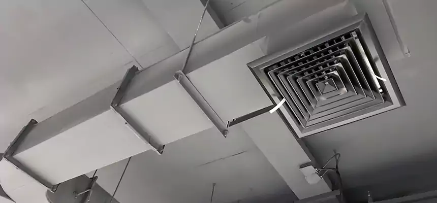 Restorative Allergy Relief Vent Cleaning – Coil, Blower & Housing Detail in Downey