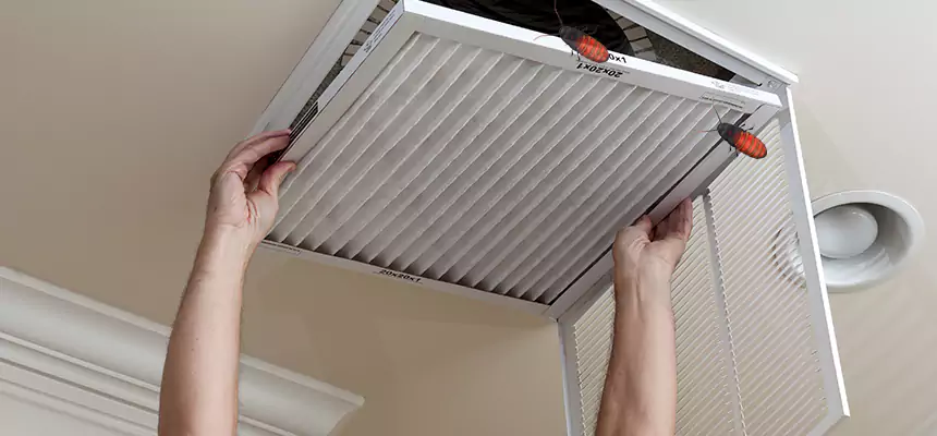 Our Insect Removal from Air Ducts Services in Downey, CA