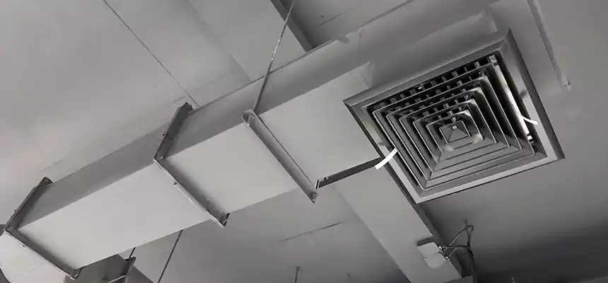 Our Pest Removal From Ducts Services in Downey, CA