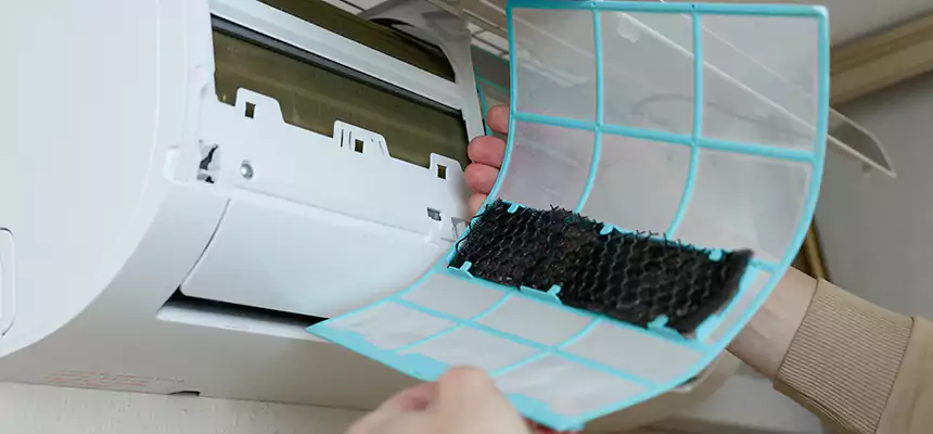 Gentle Ductwork Odor-Control Pet Dander Duct Cleaning in Downey, CA