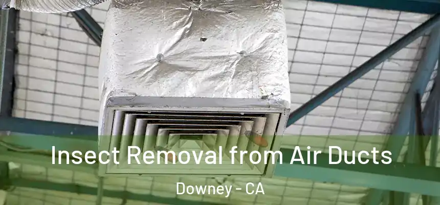 Insect Removal from Air Ducts Downey - CA