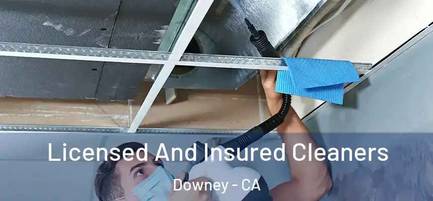 Licensed And Insured Cleaners Downey - CA
