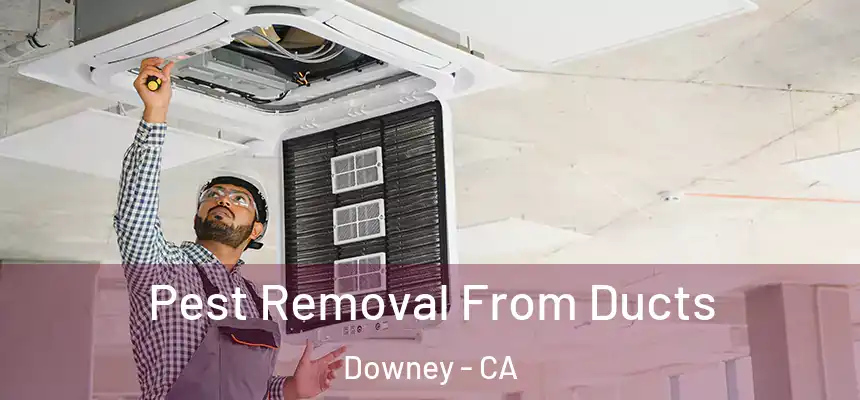 Pest Removal From Ducts Downey - CA