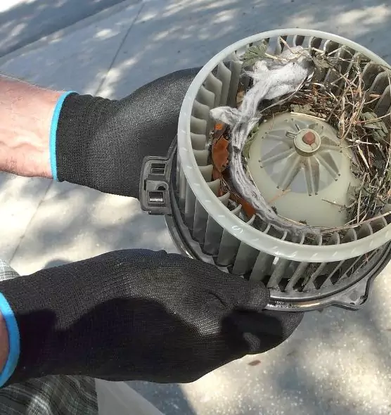 About Air Duct Mice Removal in Downey, CA