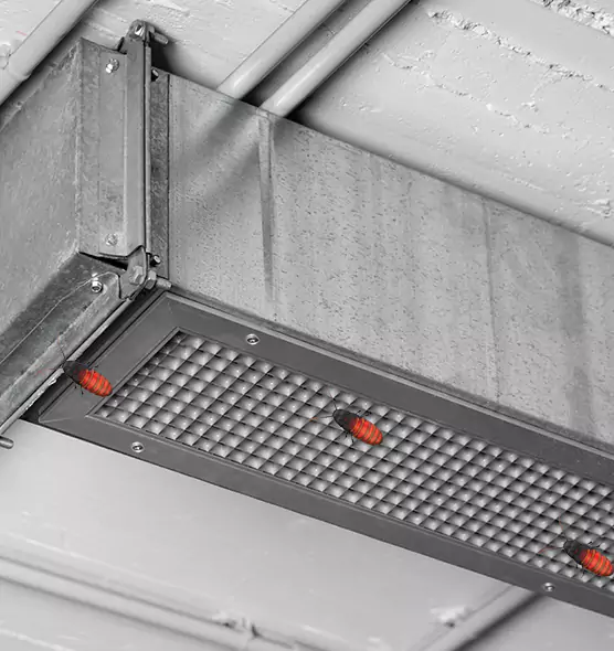 Affordable Insect Removal from Air Ducts in Downey, CA