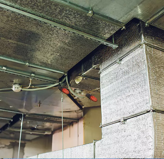 Why Homeowners & Businesses Trust Us in Downey, CA?