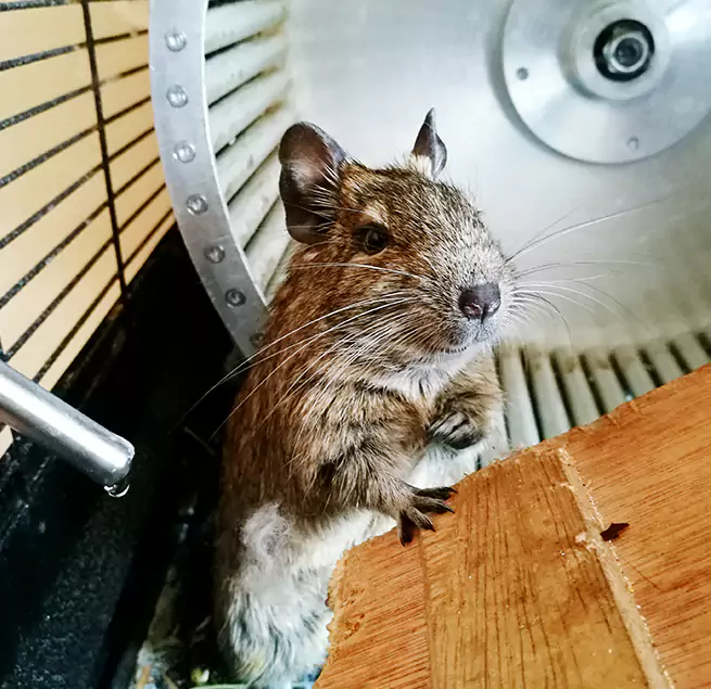 Why Homeowners & Businesses Trust Us Downey, CA