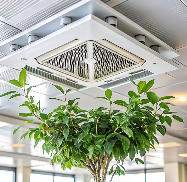 Why Homeowners & Businesses Trust Us in Downey, CA