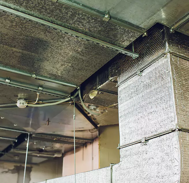 Why Homeowners & Businesses Trust Us in Downey, CA?